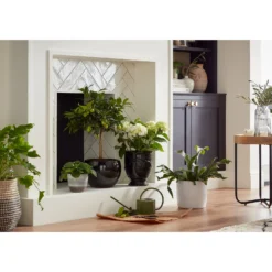 Regent Glazed Urn Planter - 21cm -Home Improvement Shop 12885371 1614948242968073