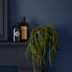 Crown Easyclean® Mouldguard+ Bathroom Mid Sheen Washable Multi Surface Paint Midnight Navy® - 2.5L 11 Crown Easyclean® Mouldguard+ Bathroom Mid Sheen Washable Multi Surface Paint Midnight Navy® - 2.5L -Home Improvement Shop 12886764 1824853415644115