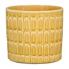 Scheurich Elna Yellow Ceramic Pot - 16cm 2 Scheurich Elna Yellow Ceramic Pot - 16cm -Home Improvement Shop 12912158 4684845868081392