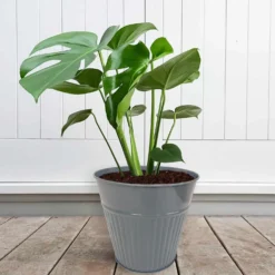 Ribbed Planter (3 Colour Mix) - 18cm -Home Improvement Shop 13193953 1834933504482486