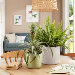 Scheurich Ripple White Indoor Pot - 20cm -Home Improvement Shop 13953260 1154987120198644