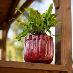 Chiswick Running Pot Red - 18cm -Home Improvement Shop 13973651 1775011238634708