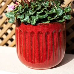 Chiswick Running Pot Red - 18cm -Home Improvement Shop 13973651 1995011238682963
