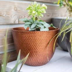 Suva Hammered Pot Copper - 31cm 11 Suva Hammered Pot Copper - 31cm -Home Improvement Shop 13973652 1715011805989134