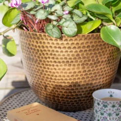 Suva Hammered Pot Bronze - 31cm -Home Improvement Shop 13973654 7605011805627355